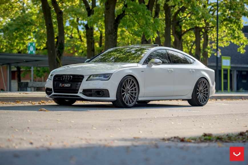 Vossen vfs7